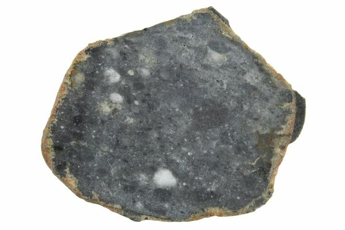 Lunar Meteorite ( g) Slice - Bechar #348173